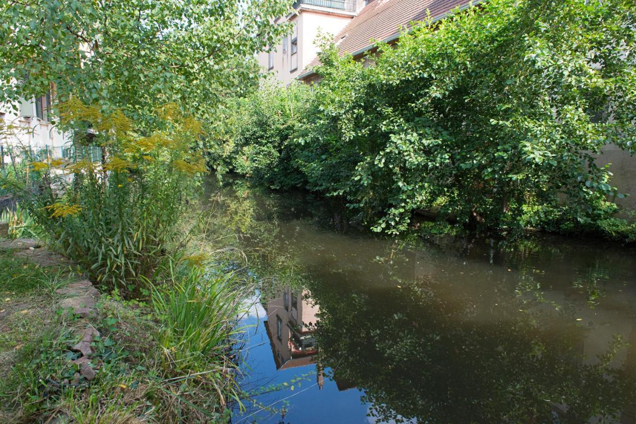 Meuble Le Coin Tranquille Appartement Saverne Buitenkant foto